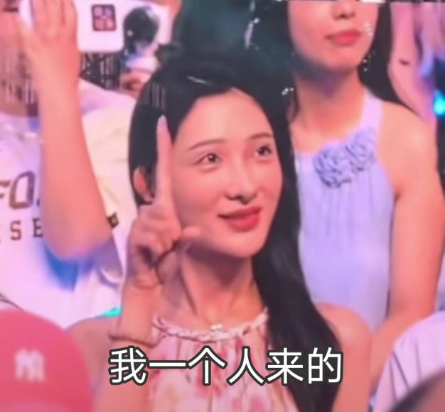 我一个人来的表情包_我一个人来看演唱会热梗