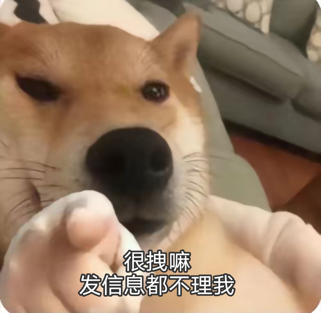 很拽嘛,发信息都不理我表情包