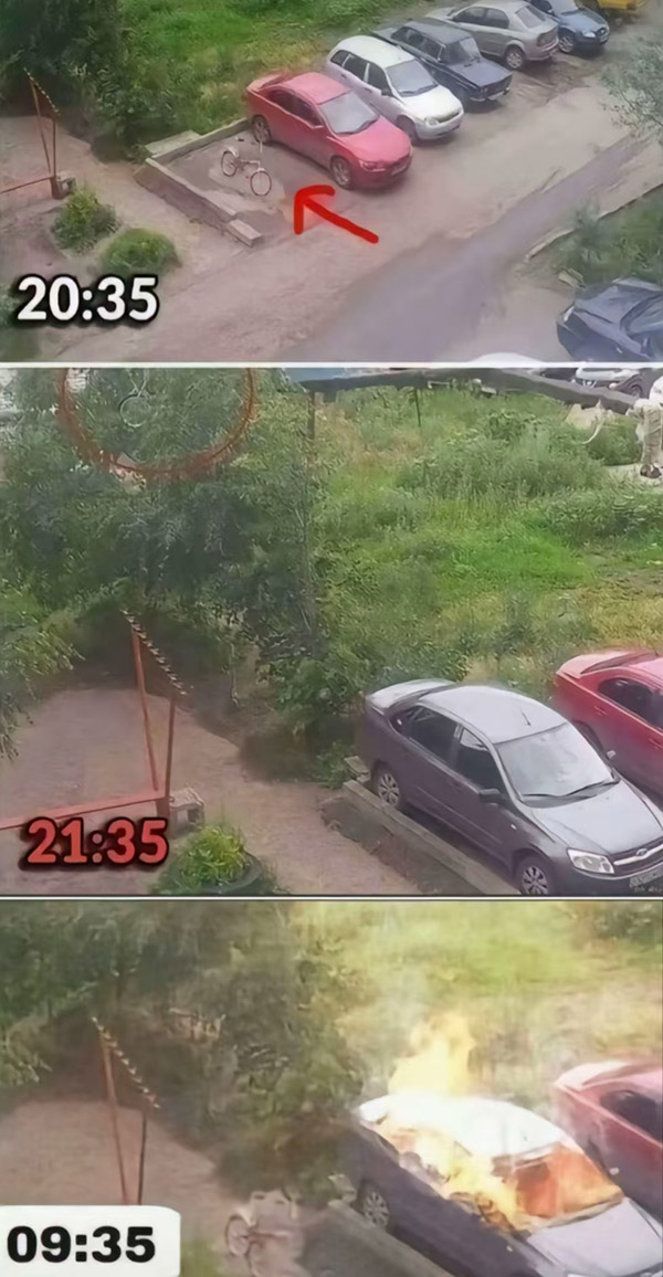 自行车占车位被扔树上搞笑图片