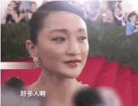 周迅:好多人啊gif表情包