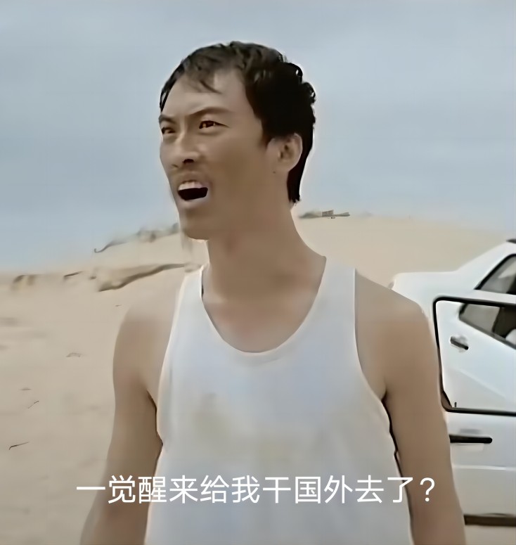 你给我干哪儿来了 这还是国内吗表情包gif