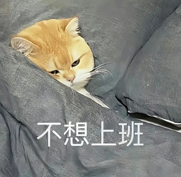 猫咪:不想上班表情包