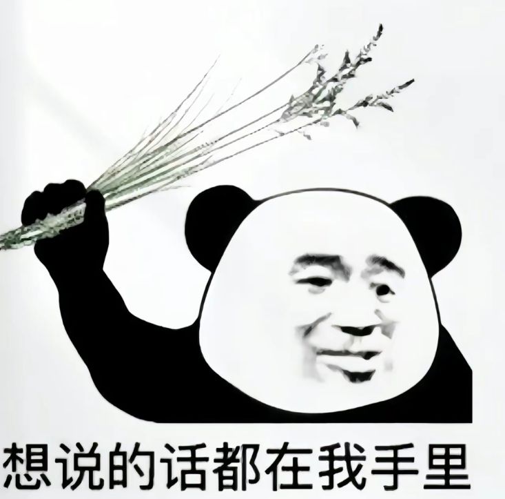想说的话都在我手里(握草)表情包