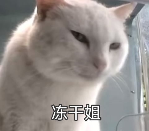 魔性猫咪吃东西系列(冻干姐、猥琐玉米哥)