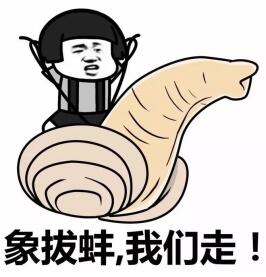 象拔蚌我们走表情包
