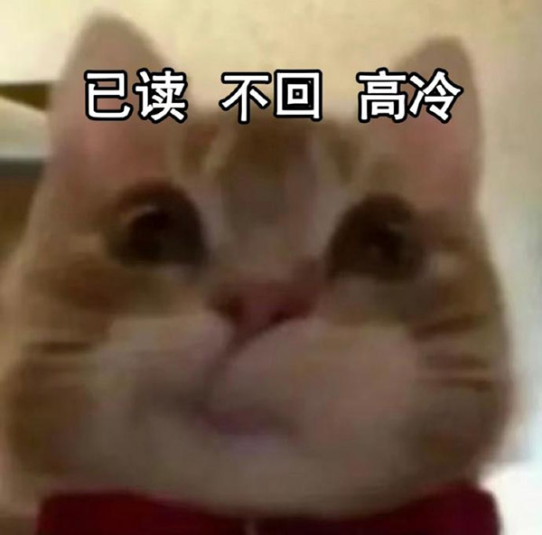 已读不回高冷表情包_歪嘴猫咪表情包