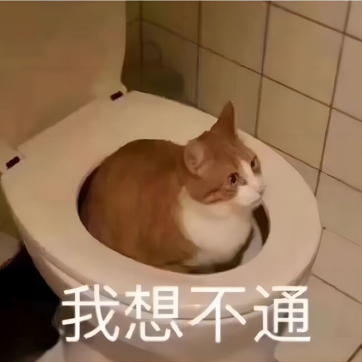 猫咪坐马桶上面:我想不通 搞笑图