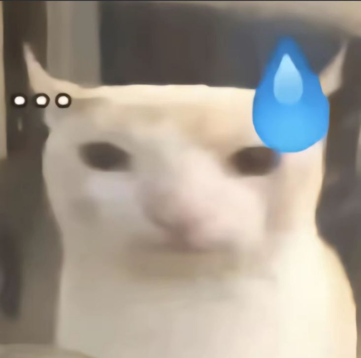 猫咪头上流汗无语…表情包