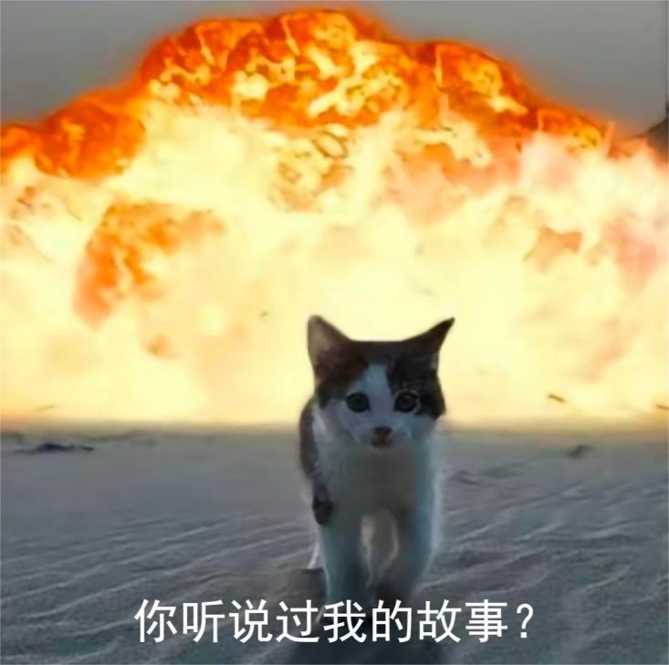 猫咪在前面走后面爆炸的表情包—你听说我的故事?