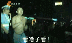 河北卫视老子帅不帅脱裤子gif表情包