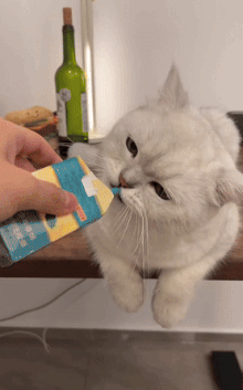 猫咪吸烟（挡火）表情包动图_她还是不肯来吗系列