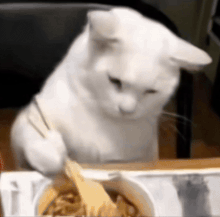 我家猫咪会吃泡面gif动图__她还是不肯来吗系列