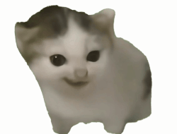 希特勒猫表情包_柏林之声猫meme表情包