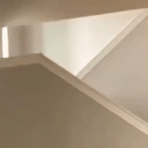 柴犬下楼梯狗狗祟祟gif表情包_原图可下载