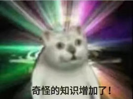 憨憨猫表情包系列(奇怪的知识、画质提升、体重增加了……)