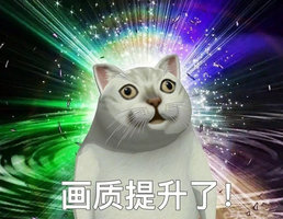 画质提升了_懵逼猫